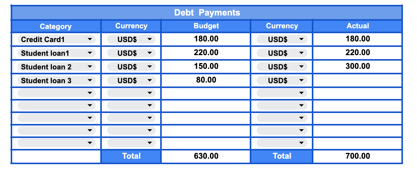 Zero-Based Budget Tracker