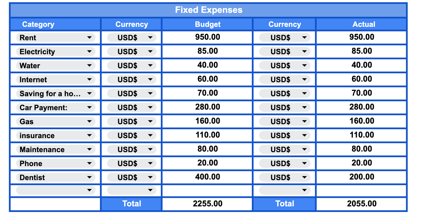 Zero-Based Budget Tracker