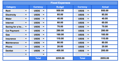 Zero-Based Budget Tracker